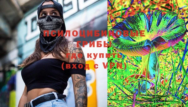PSILOCYBIN Армянск