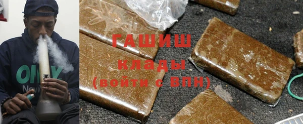 хмурый Аркадак