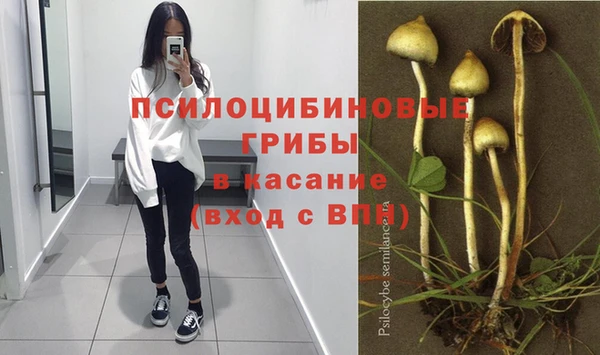 гидра Алексин