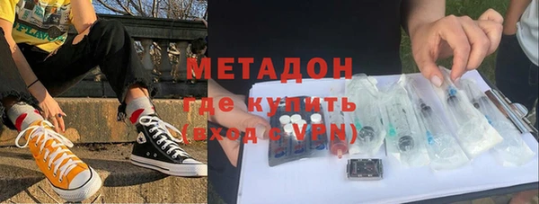 хмурый Аркадак