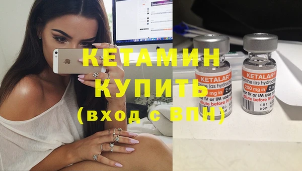 хмурый Аркадак