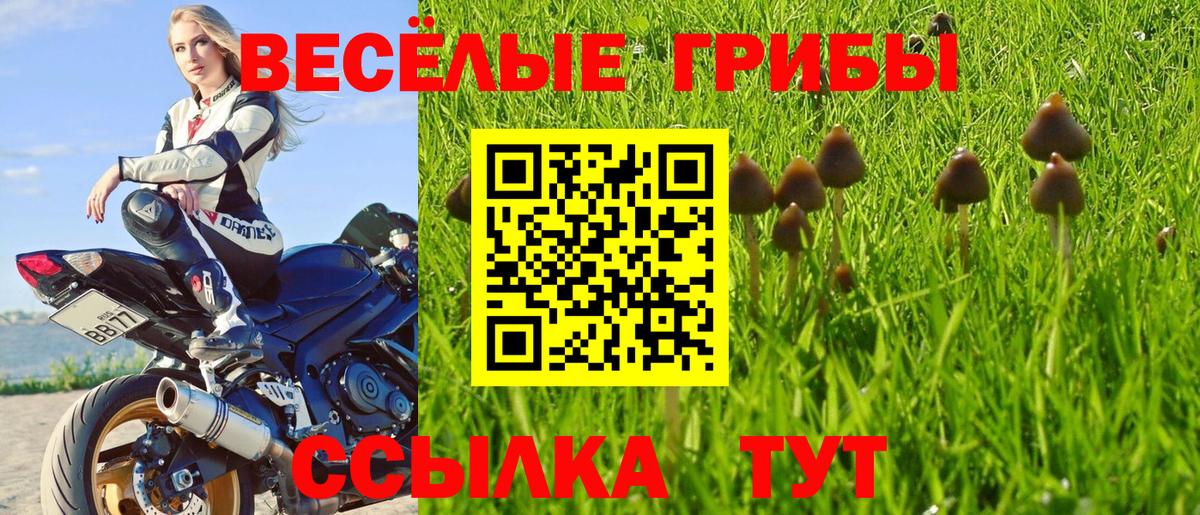 Псилоцибиновые грибы GOLDEN TEACHER Волгодонск