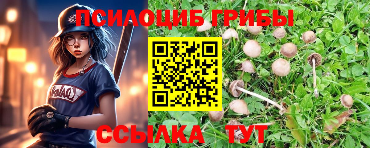 Псилоцибиновые грибы Cubensis  Галлюциногенные грибы Psilocybine cubensis  Вход с VPN  Волгодонск 
